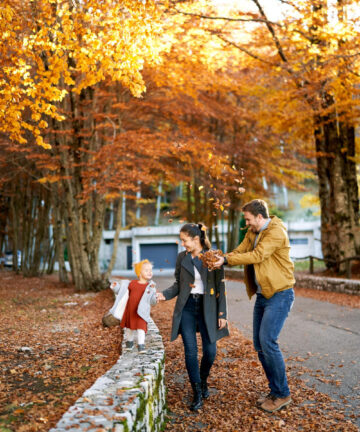 Book a Visit in Avallon