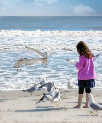 Book a Visit in Bandol