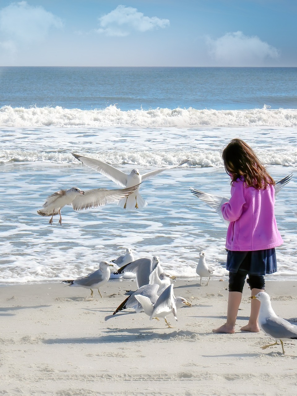 Book a Visit in Bandol