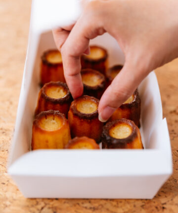 Book a Visit in Bordeaux