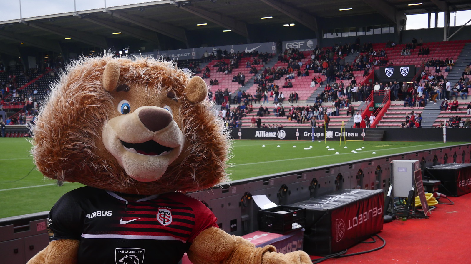 Touluse Rugby Toulouse Rugby Team - Guide Occitania