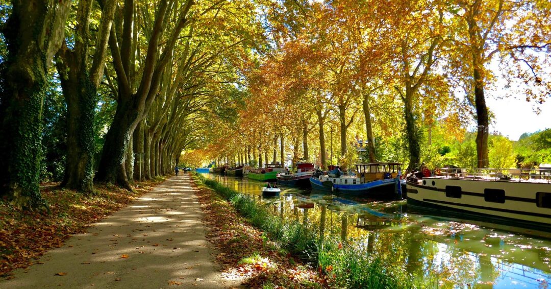 Carcassonne Croisière Canal du Midi